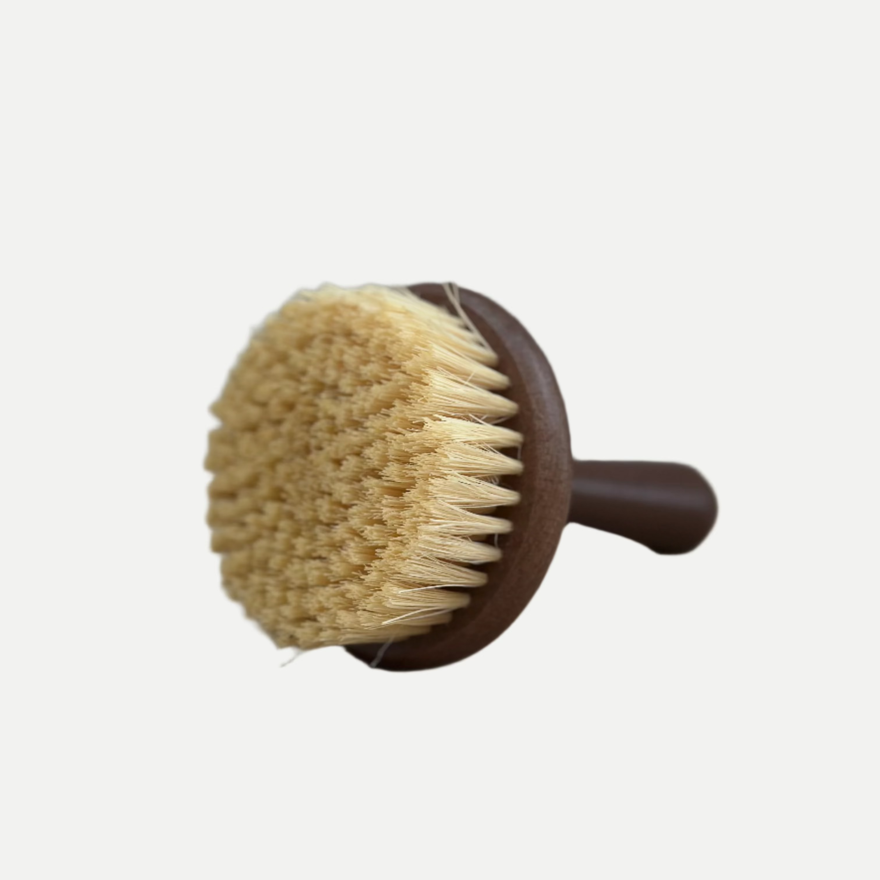Wooden Handheld Cleaning Brush