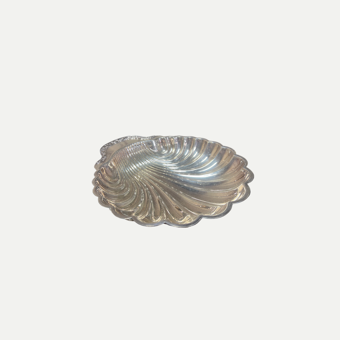 Shell Plate