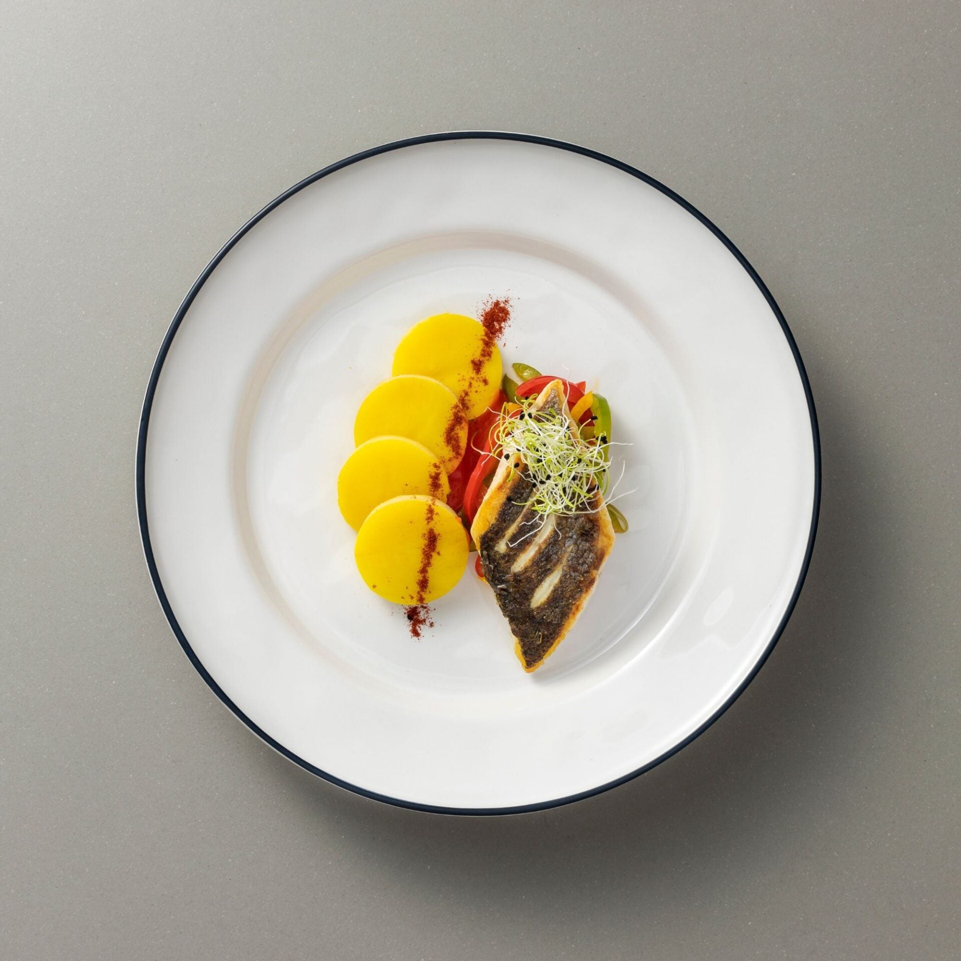 Dinner Plate White Blue