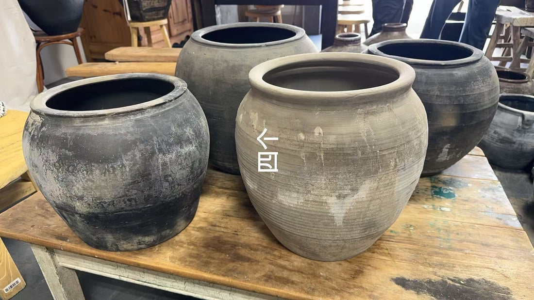 Clay Pot