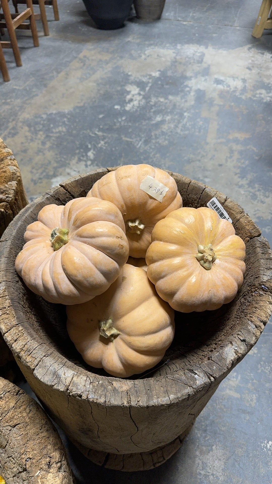 Decorating Pumpkin