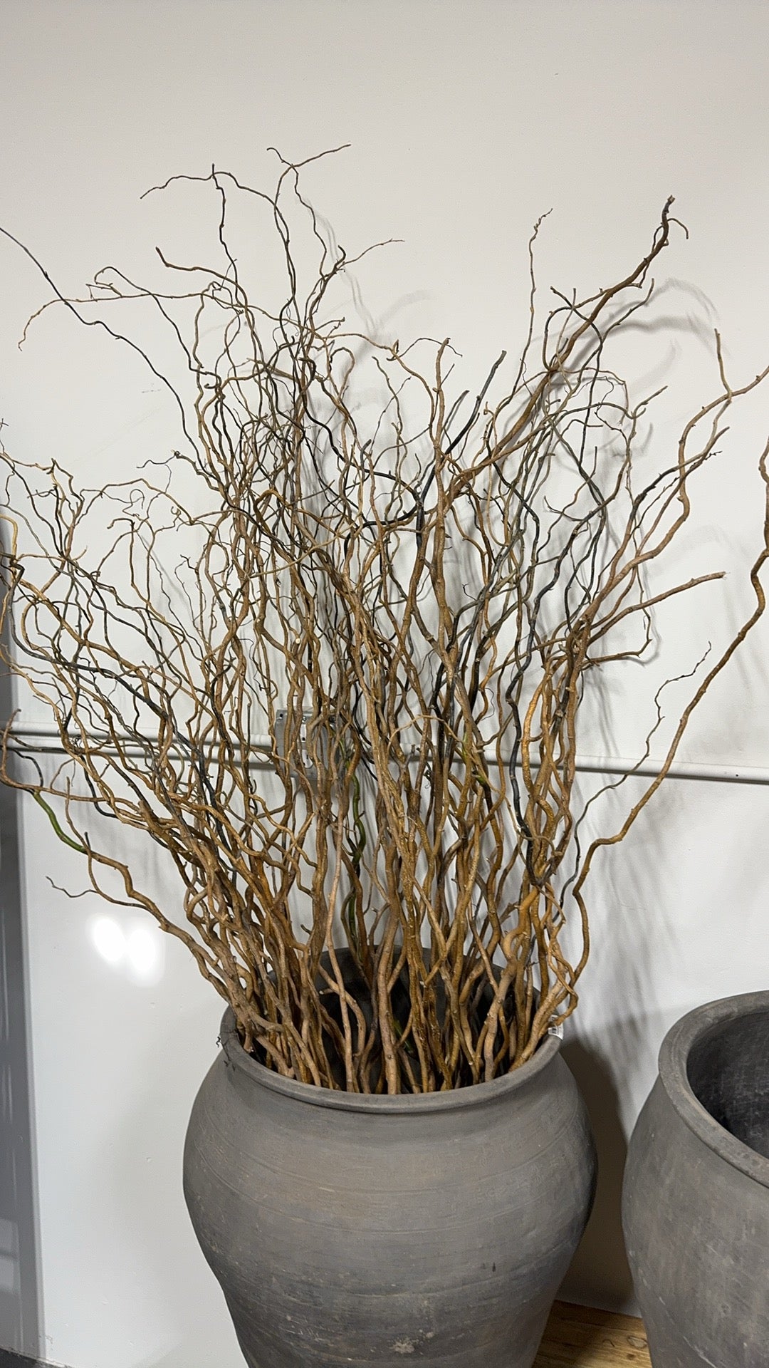 Natural Curly Willow Branches