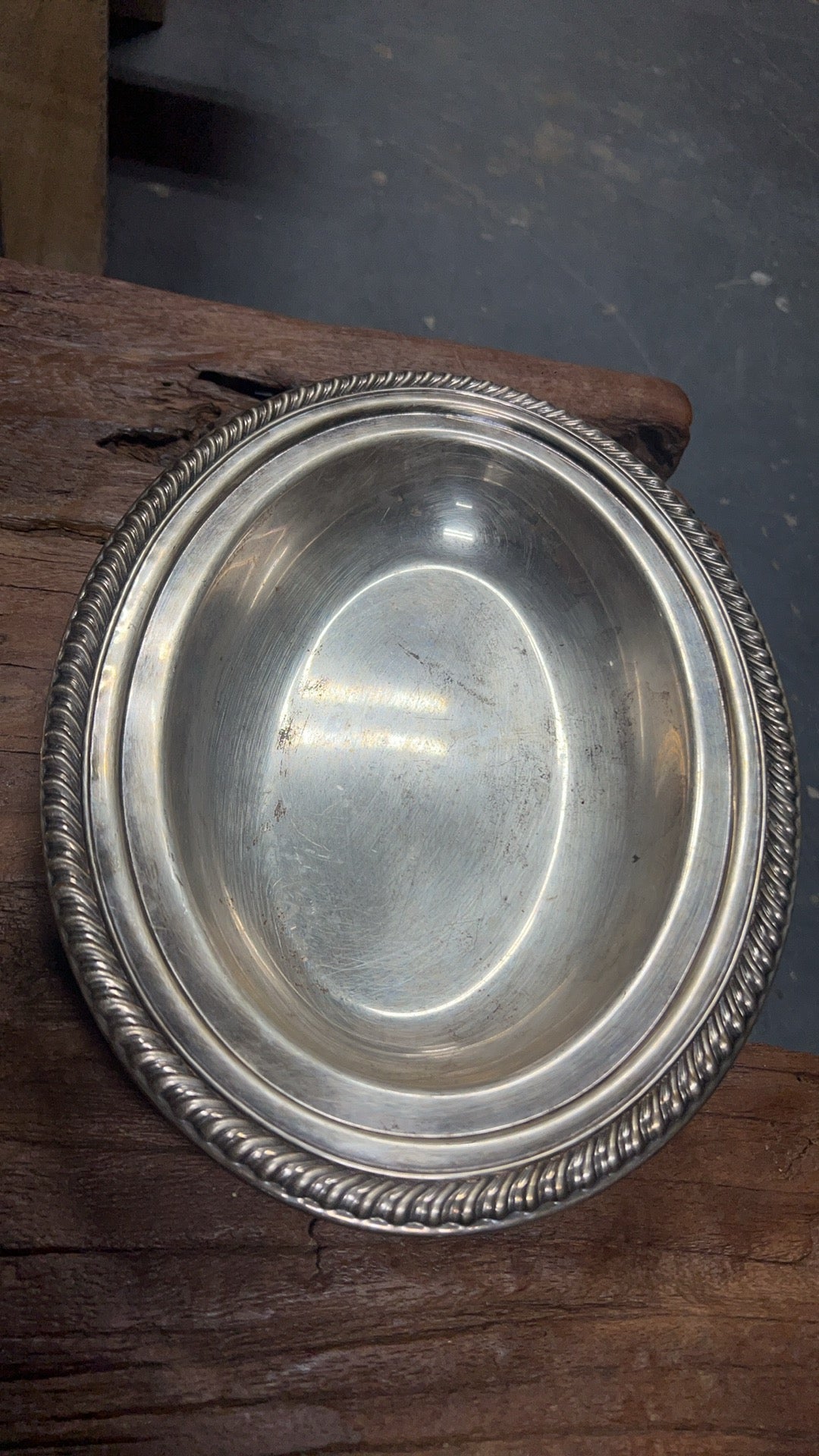 Serendip Plate