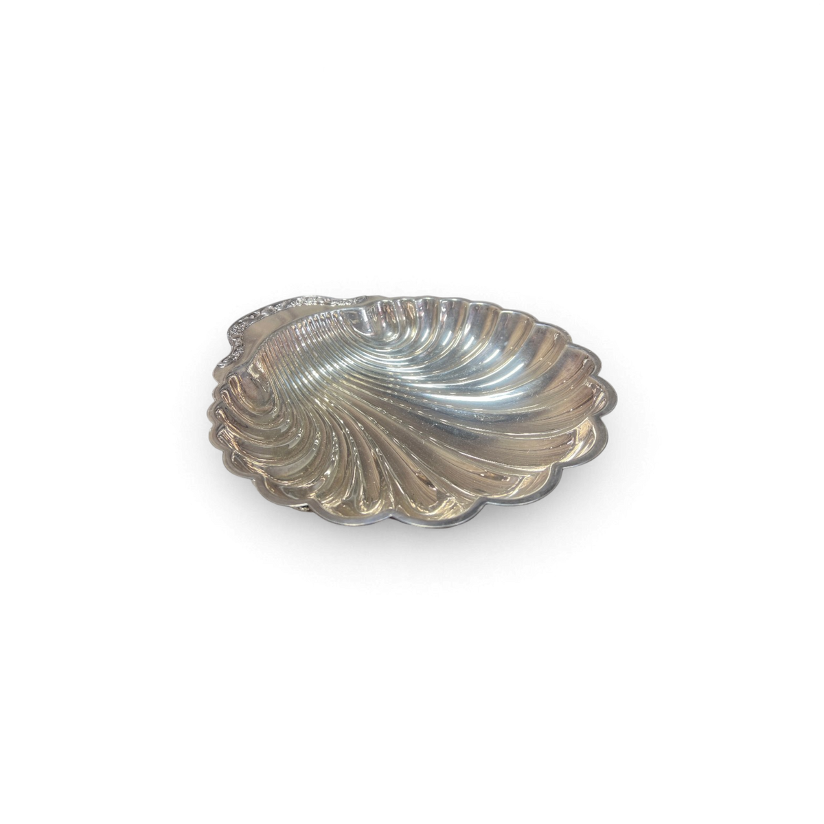Shell Plate